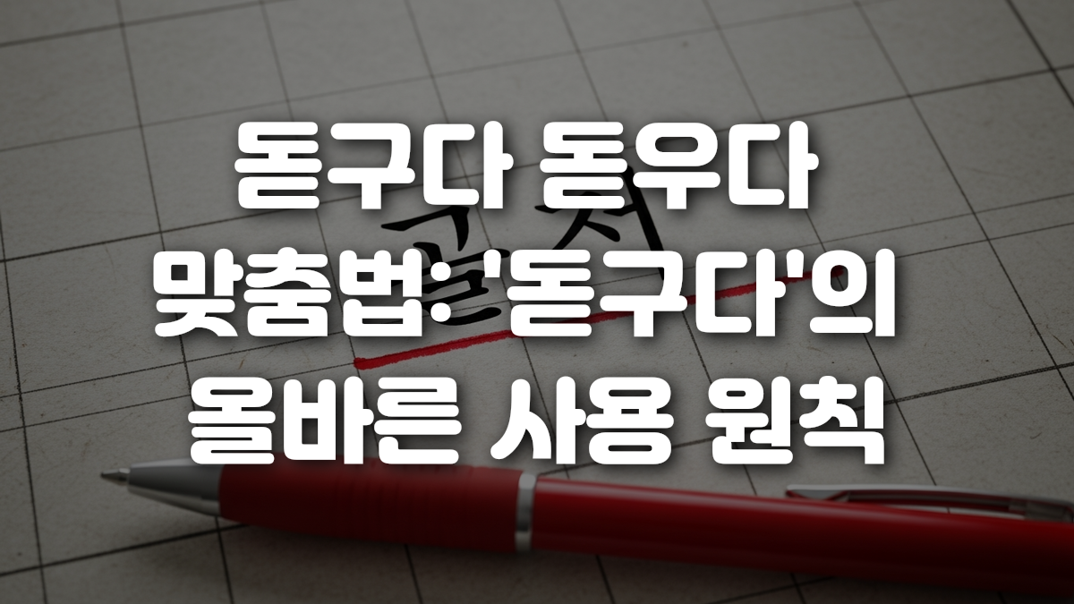 돋구다 돋우다 맞춤법 돋구다 의 올바른 사용 원칙