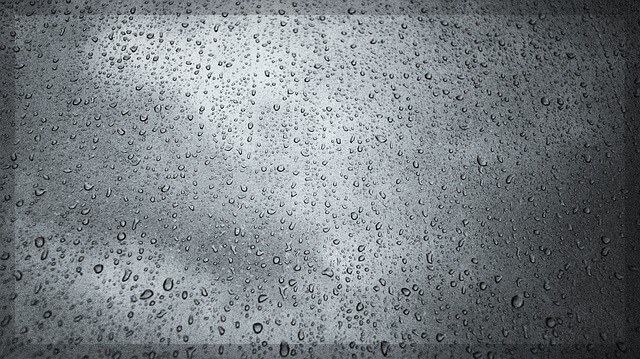 2024년 장마 기간 및 준비 사항