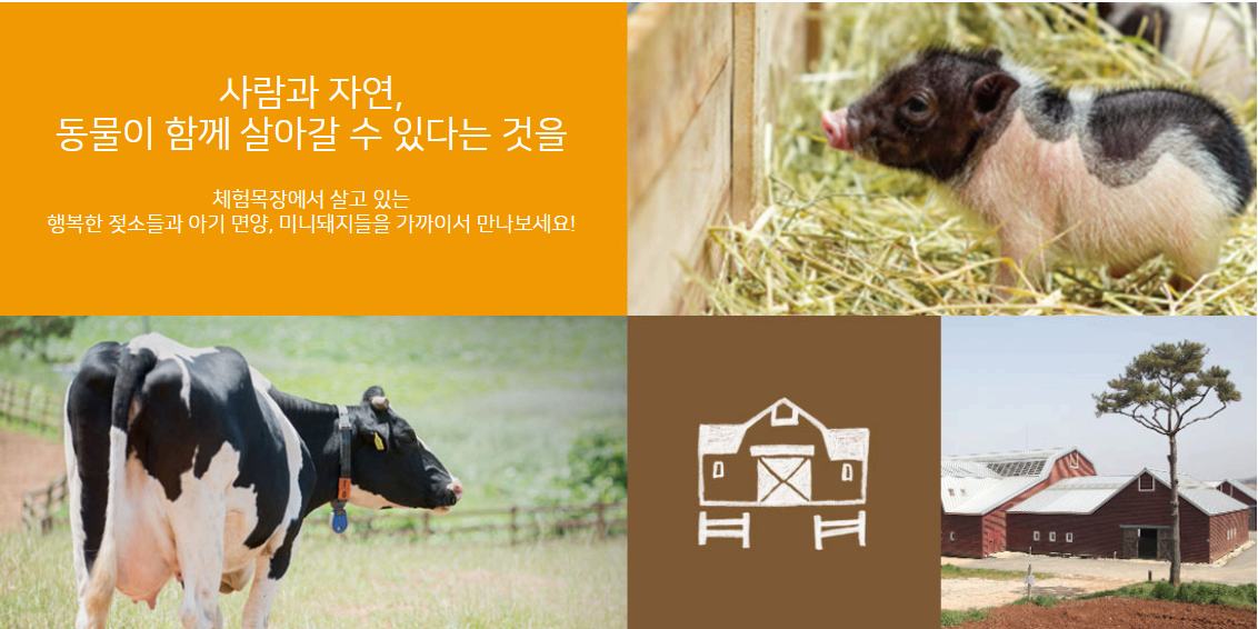 상하농원 뽀개기 시리즈 6편❘1박 2일 루트 추천 플래너(체험·숙박·식사·산책 코스)