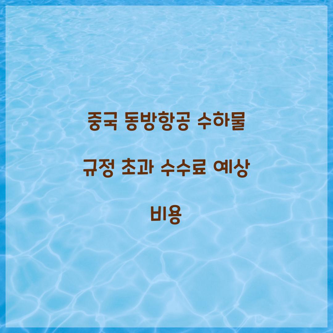 중국 동방항공 수하물 규정 초과 수수료 예상 비용 
