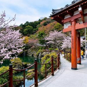 후쿠오카 계절별 추천 여행지