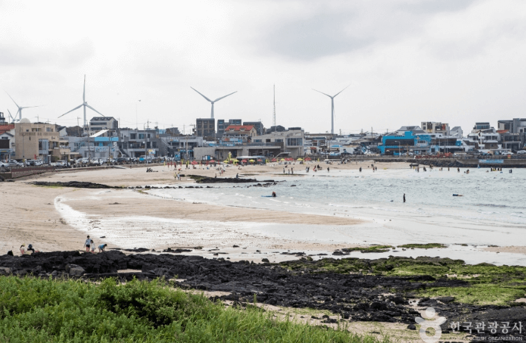 월정리 해변 (제주시)