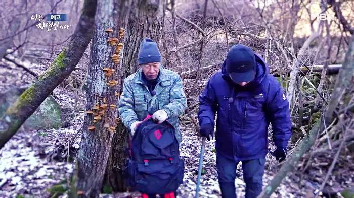 나는-자연인이다-이승윤