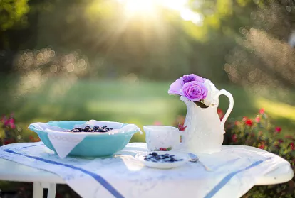 냉동-블루베리-먹는법-효능-건강