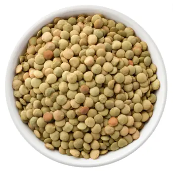 렌틸콩 효능 및 영양성분, 주의점