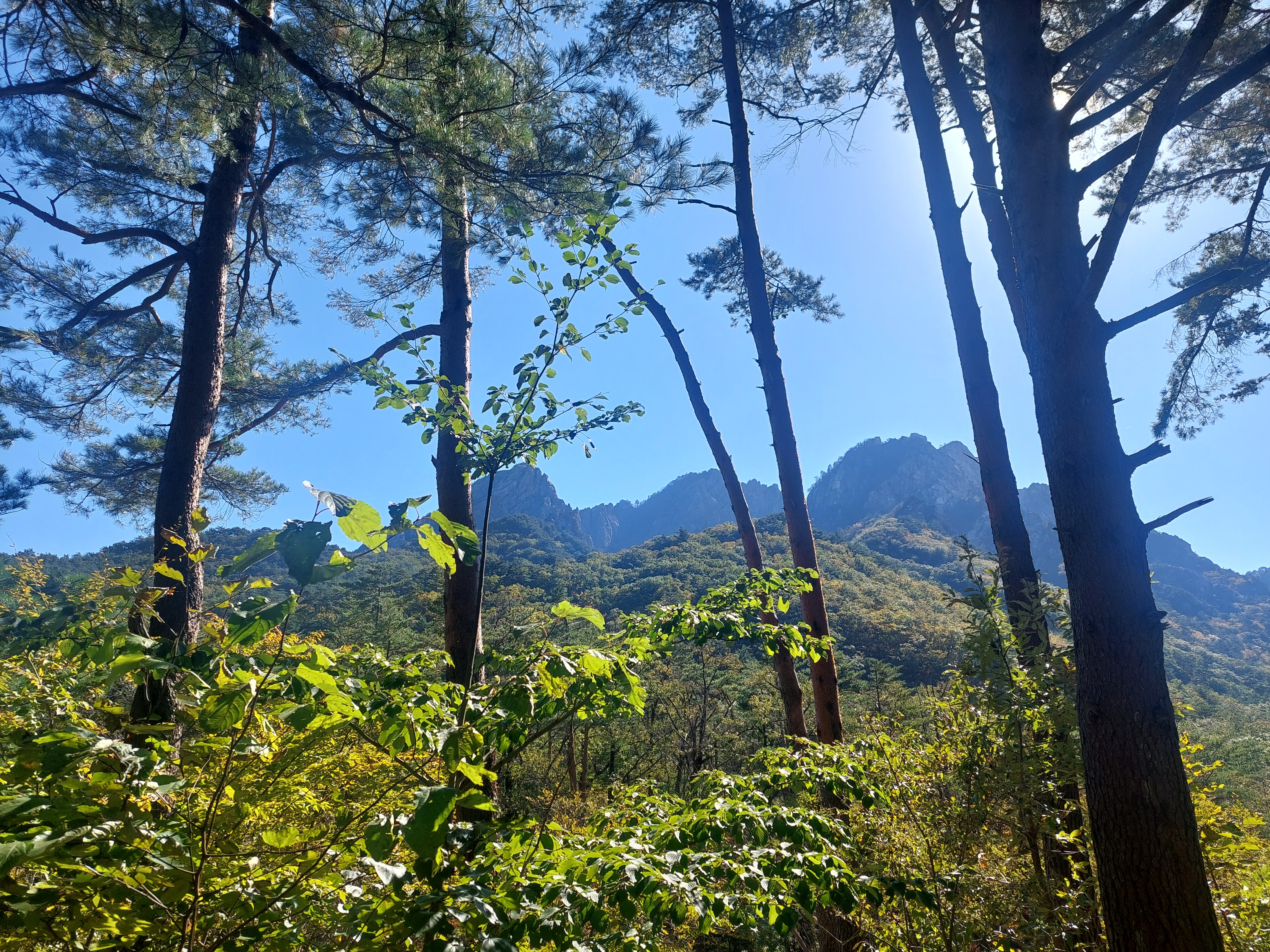 설악산