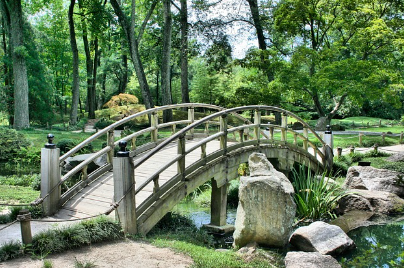 자연휴양림 속 다리