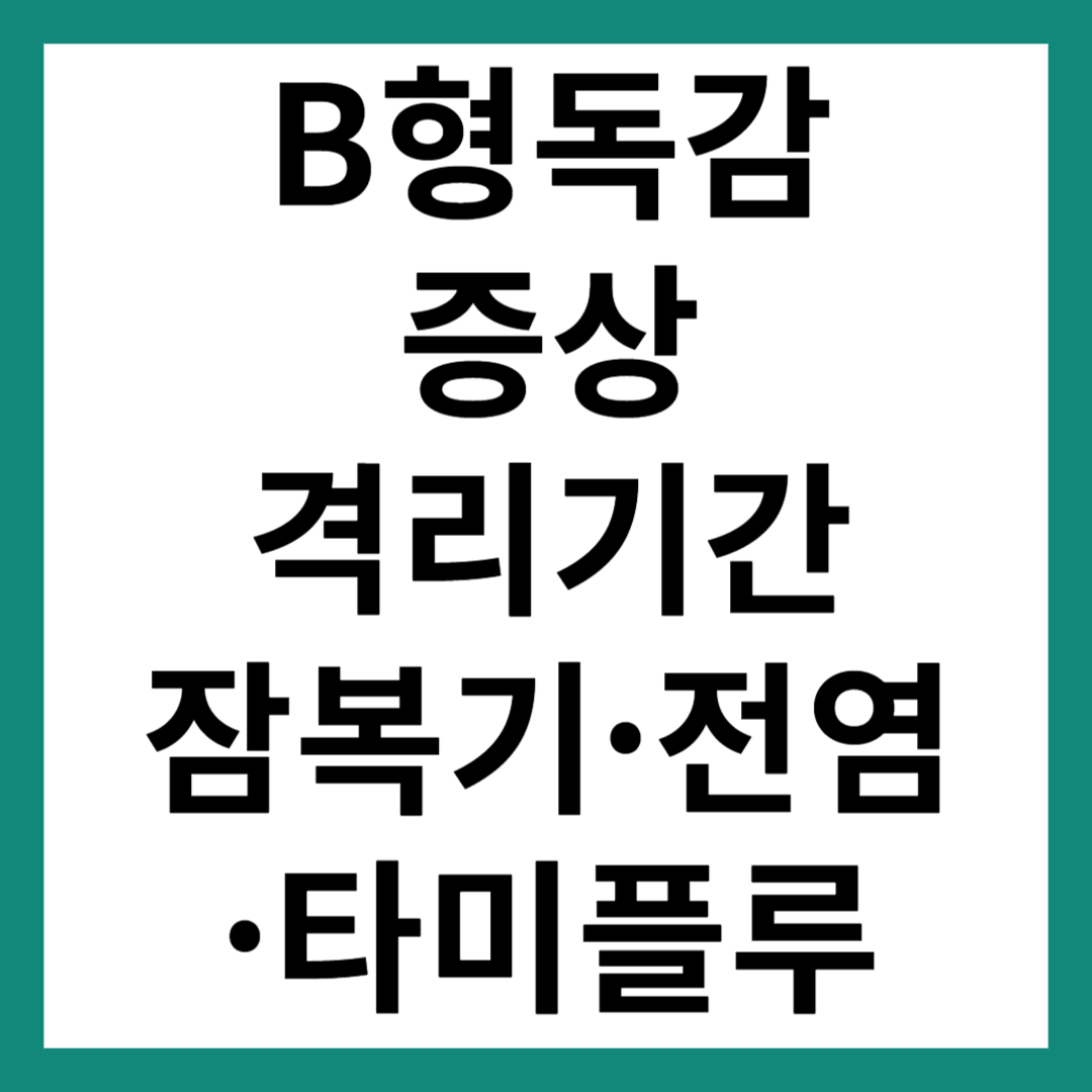 B형 독감 증상