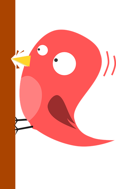 woodpecker