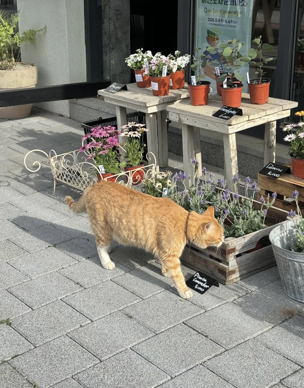 2026 이천 도자기 축제 2.5만원 할인 꿀팁 🏺 폐플라스틱 가져가면 도자기가 공짜? 관련사진