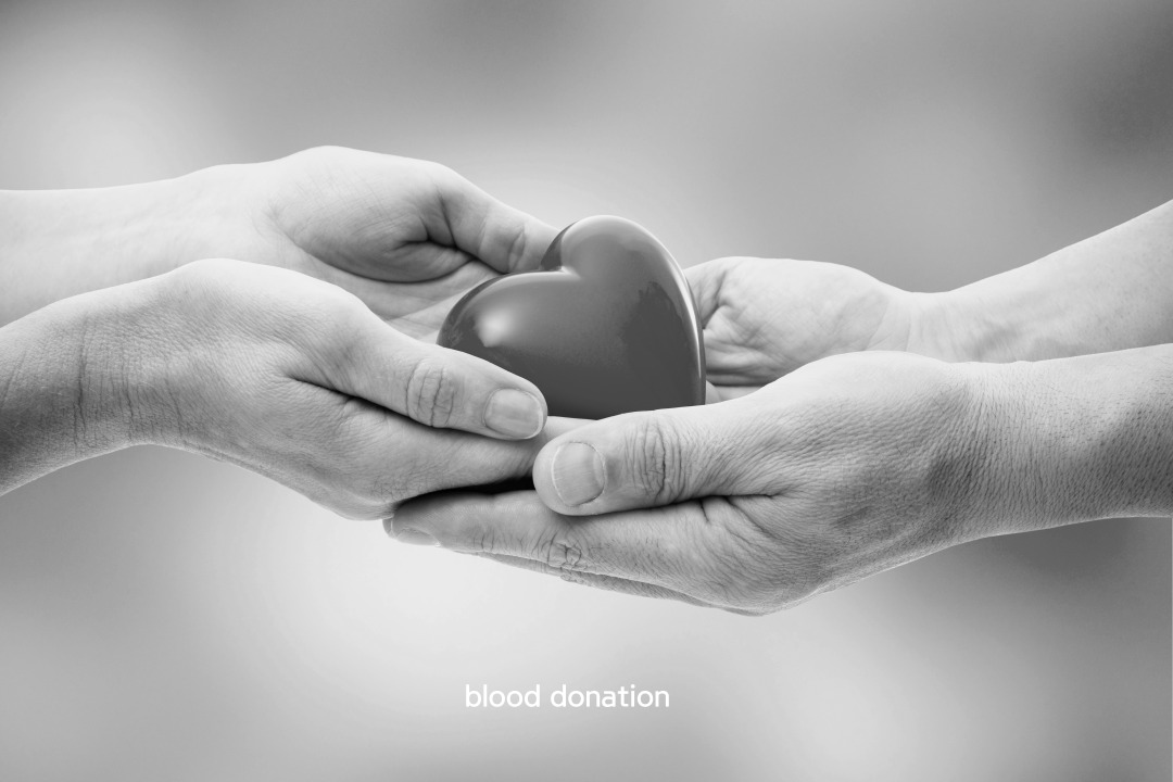 한량, 한량시대, 지적한량, 헌혈, 헌혈의 중요성