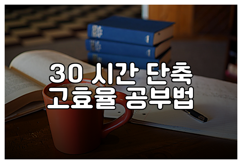 30 시간 단축 고효율 공부법