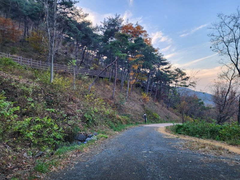 경산 치유의숲