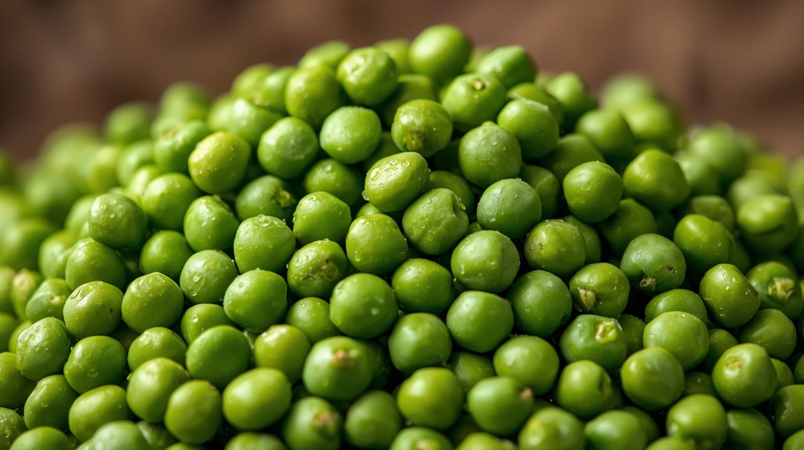 전립선에 좋은 음식