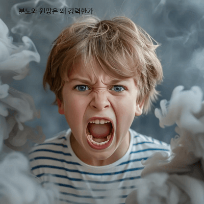 분노와 미움, 어떻게 수용할까｜내 마음을 품는 법