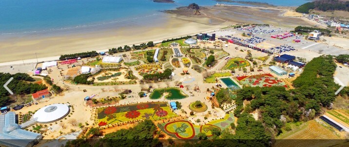 태안 튤립박람회 전경 (코리아플라워파크)