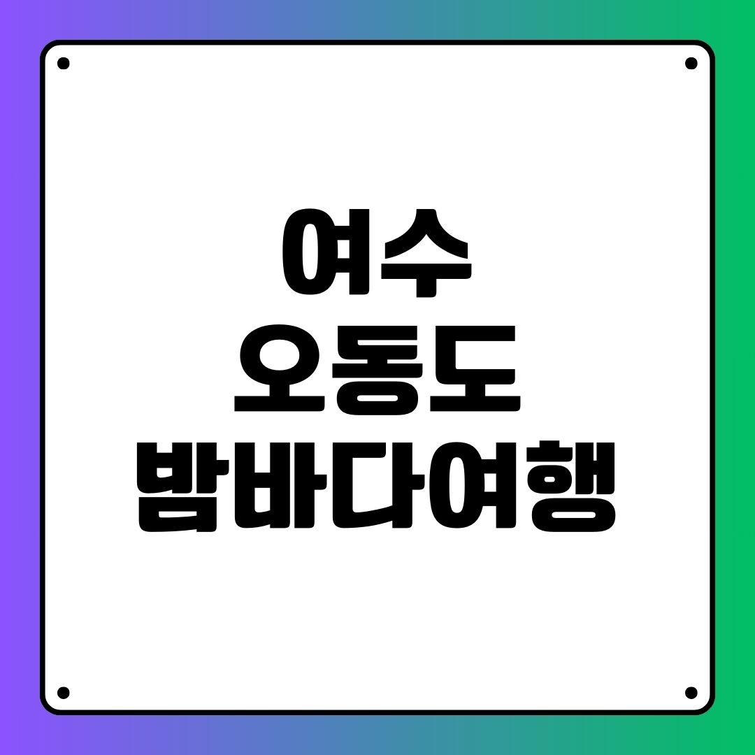 여수 오동도 밤바다 여행