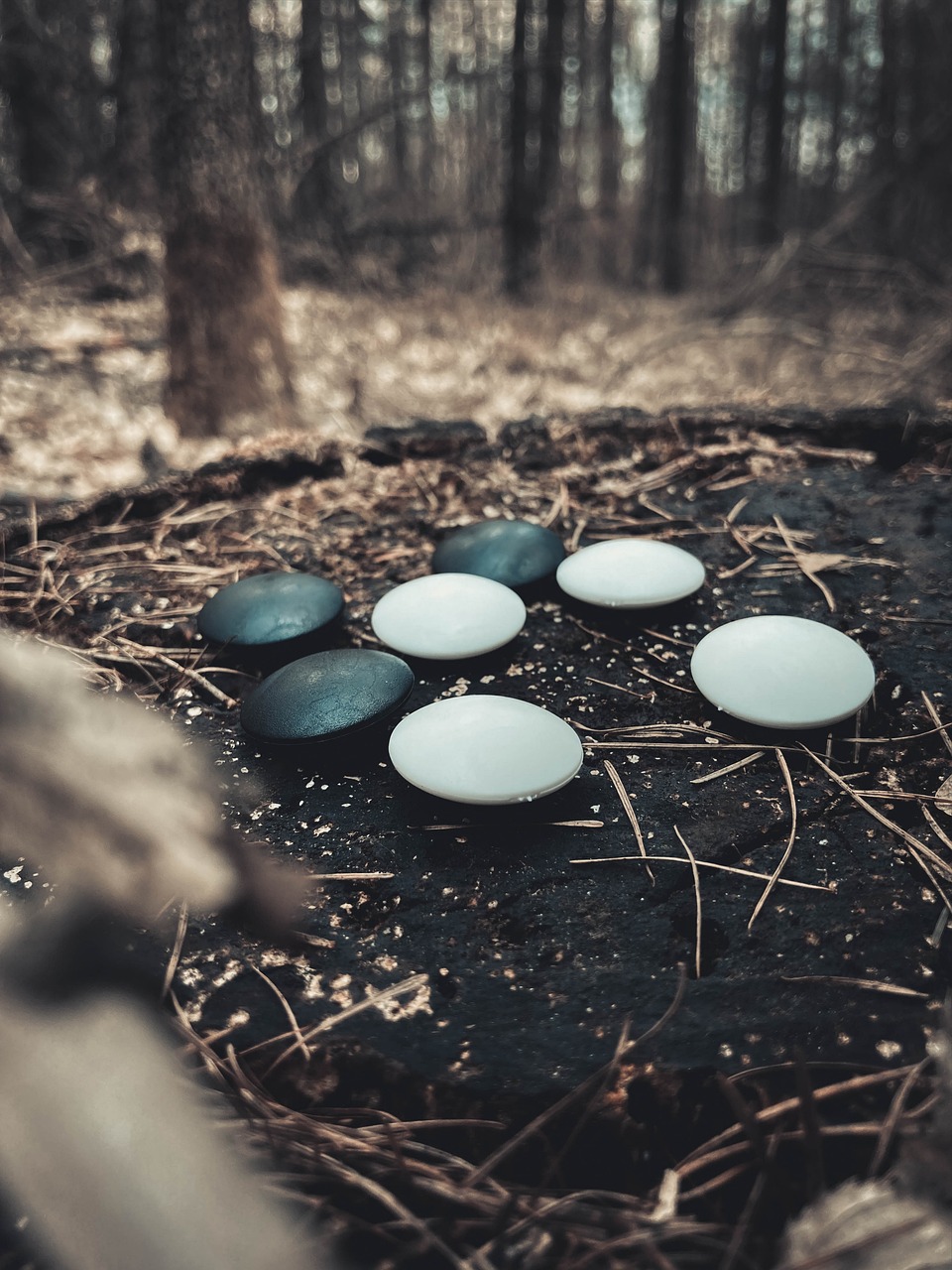 사이버오로&amp;#44; 오로바둑 사용방법 및 다운로드 