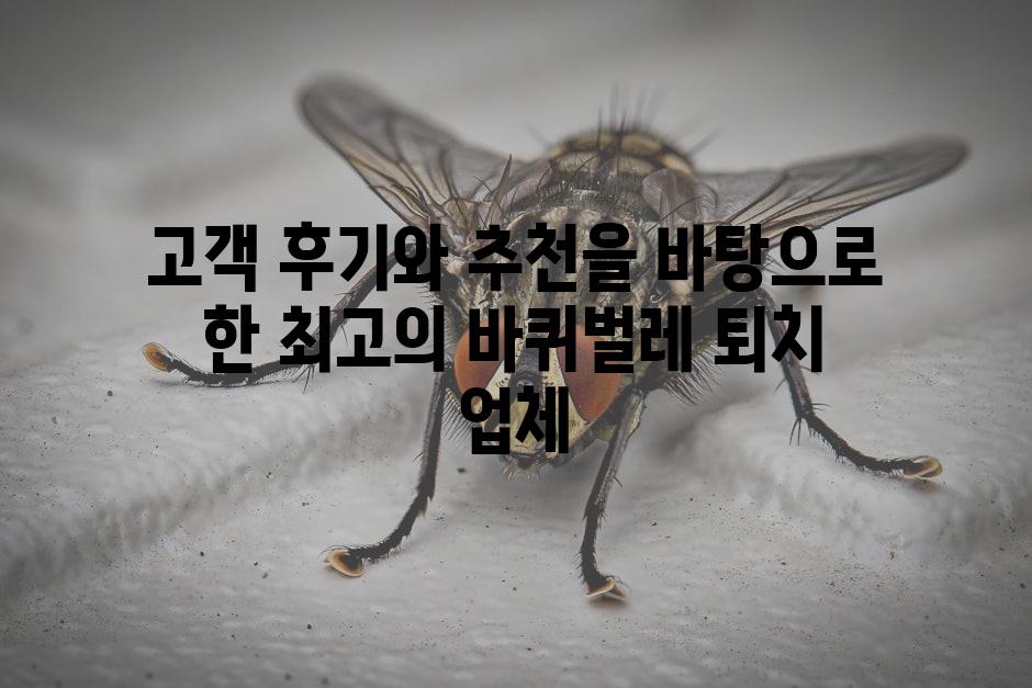 고객 후기와 추천을 바탕으로 한 최고의 바퀴벌레 퇴치 업체