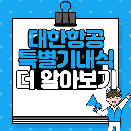 대한항공 특별기내식