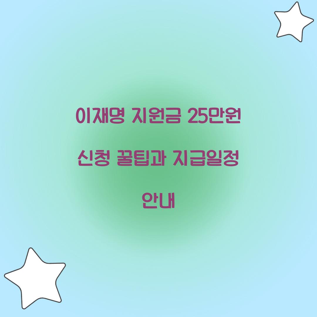 이재명 지원금 25만원