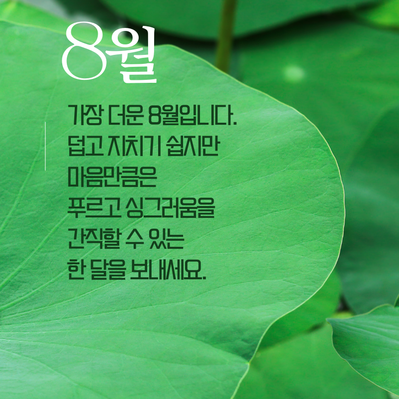 8월 인사말 문구 이미지 모음