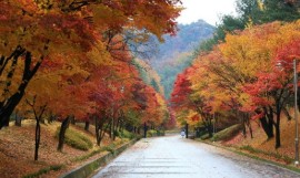 청남대(2025) 예약접수 방법 힐링여행 관련 사진