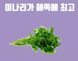 미나리2
