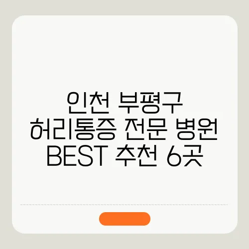 인천 부평구 허리통증 전문 병원 BEST 추천 6곳