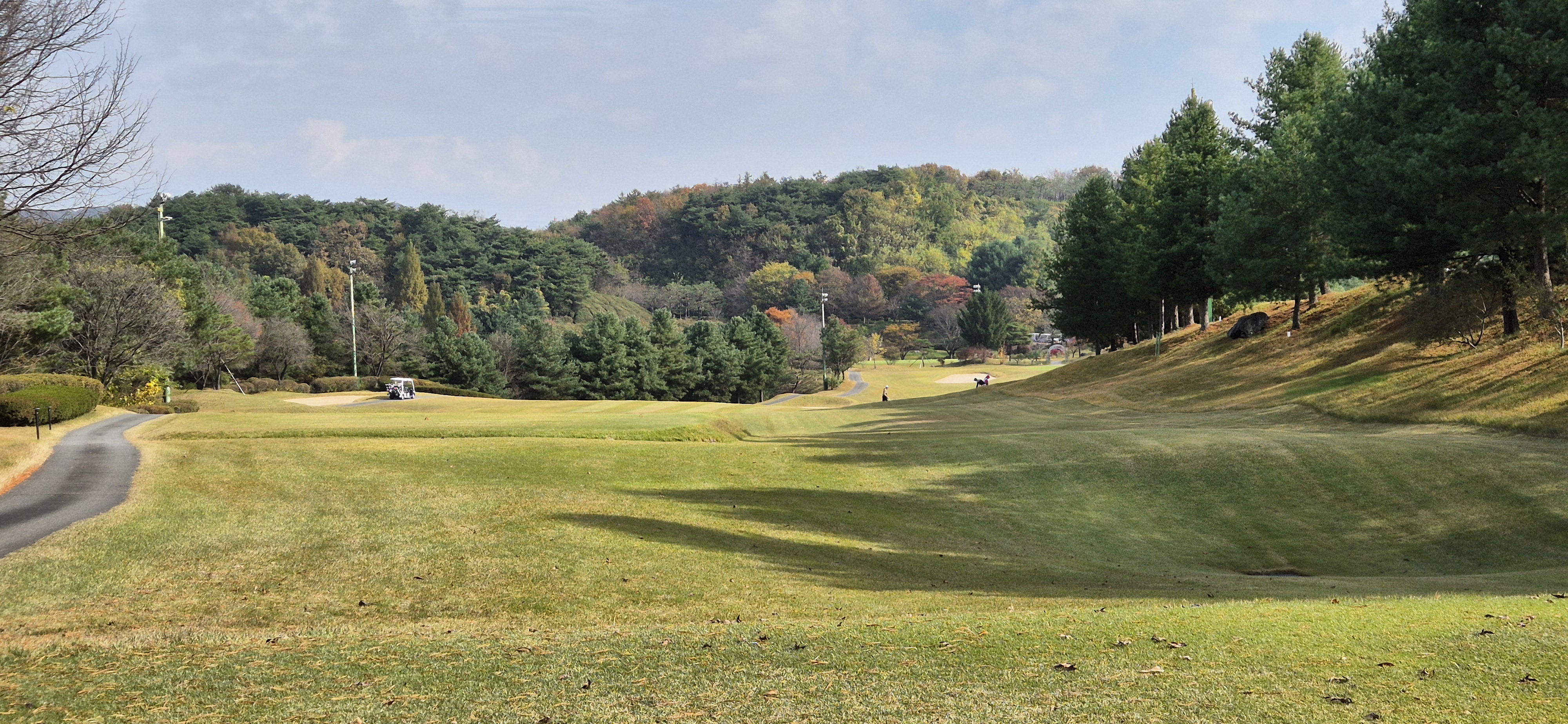 시그너스cc 실크코스 사진 및 공략 정보