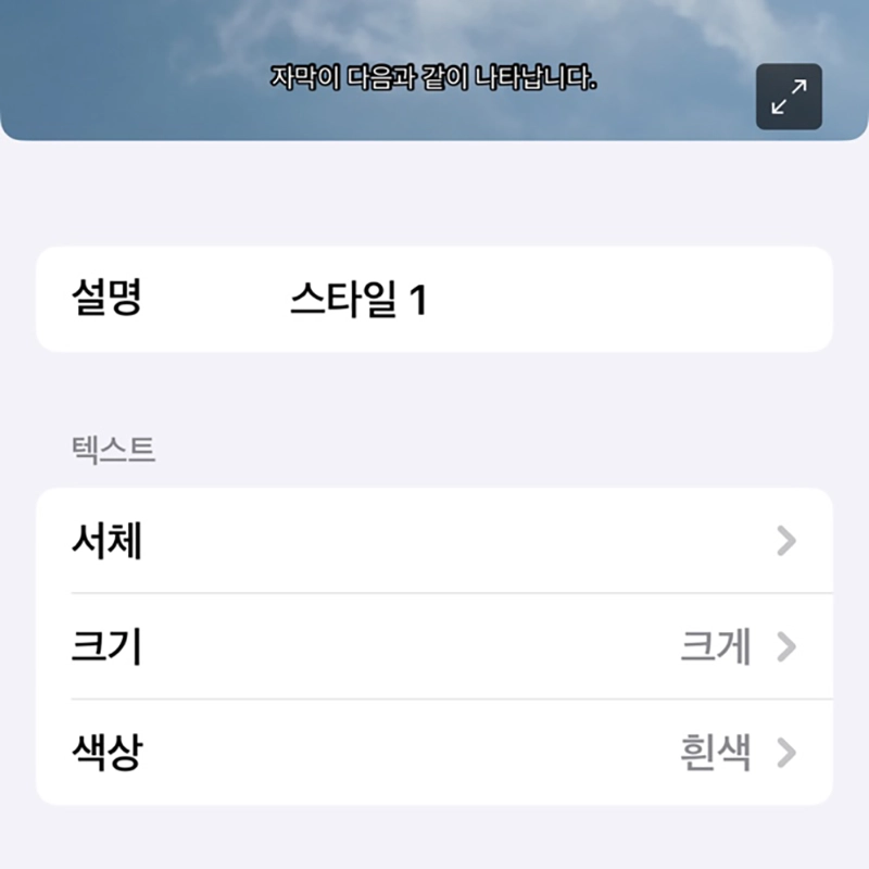 새로운-스타일-선택