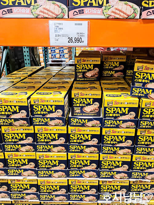 스팸