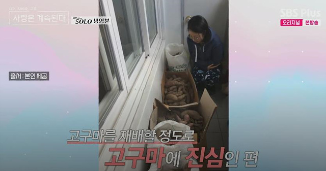 나솔사계 여자출연자 직업 인스타 17기옥순 6기현숙 19기정숙 21기옥순 24기정숙