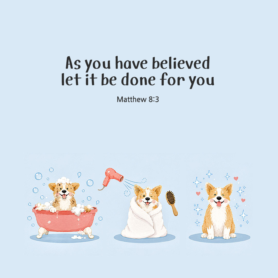 Today's Bible verse card Matthew 8:3 scripture image