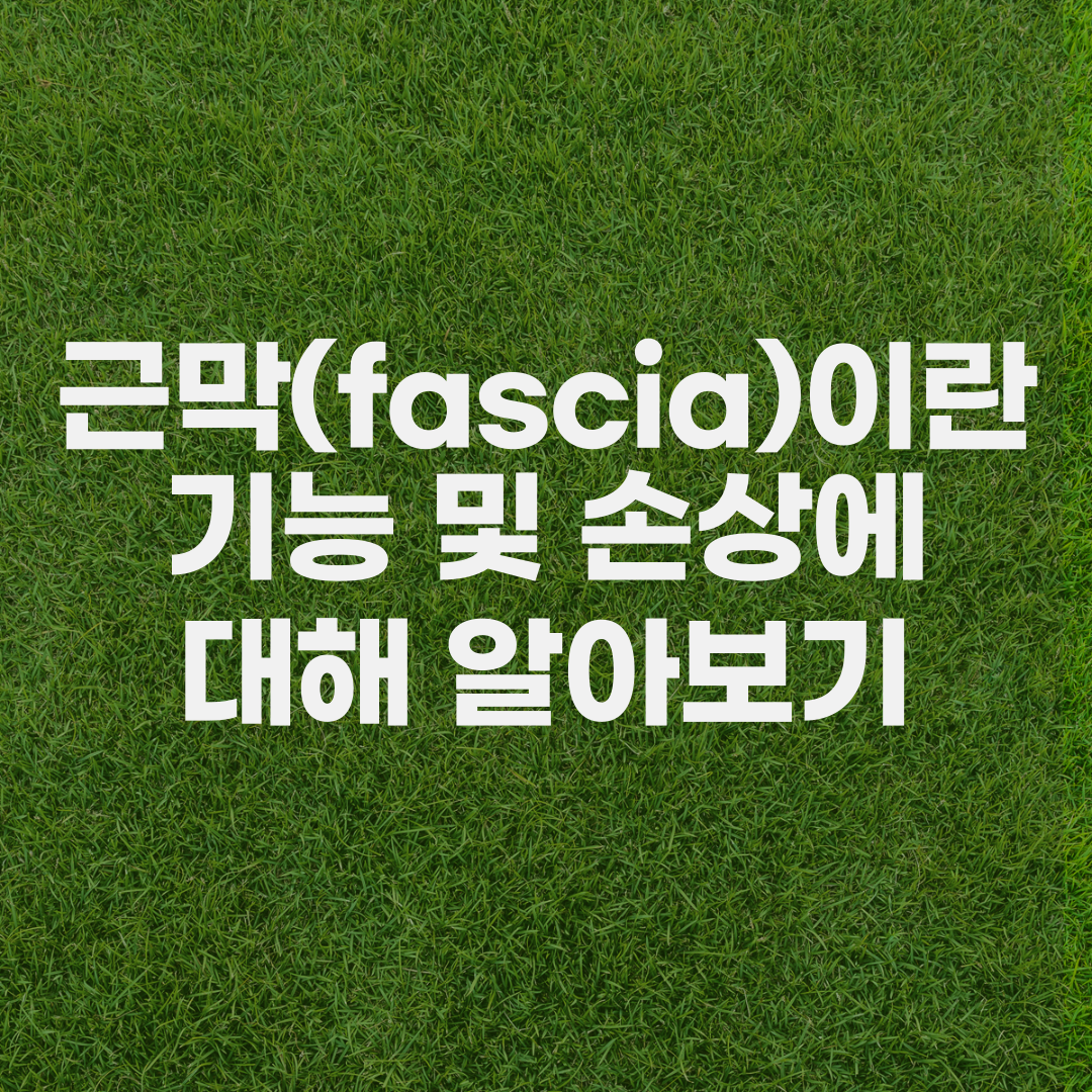 근막-정의-기능-손상