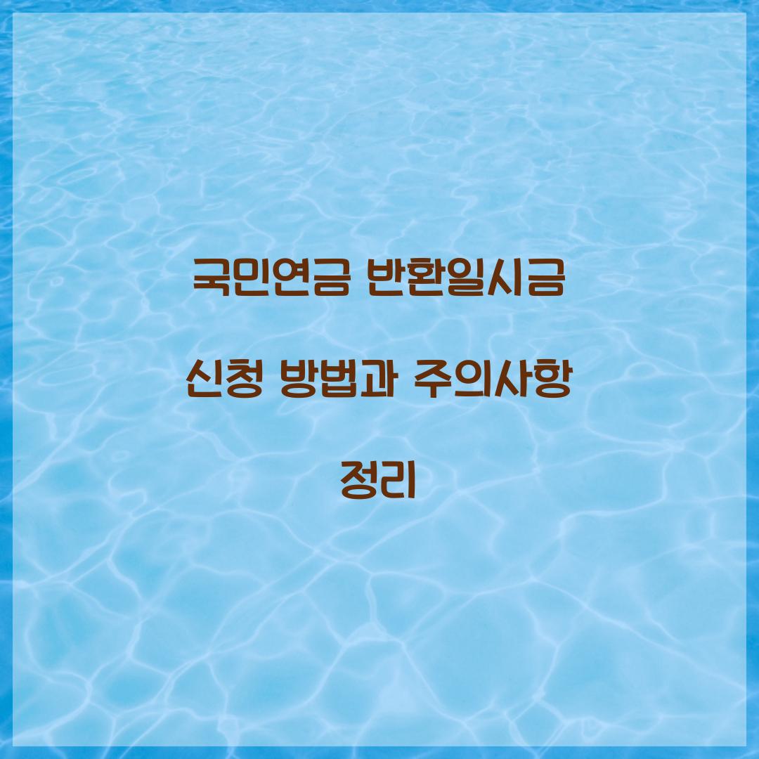 국민연금 반환일시금 신청