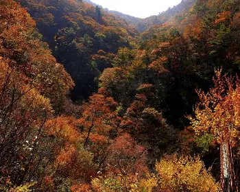 대둔산_19