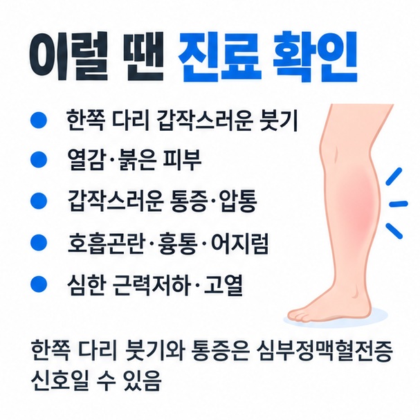 한쪽 다리 붓기 열감 피부색 변화 갑작스러운 통증 호흡곤란 흉통 등 진료가 필요한 위험 신호를 정리한 이미지