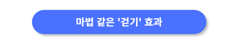 버튼