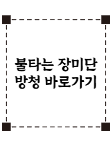 불타는 장미단 방청