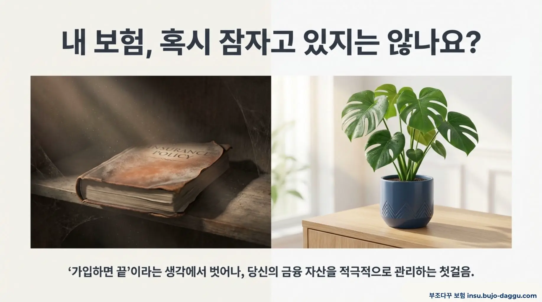 보험 관리란 무엇인가 초보자를 위한 보험 관리 개념 총정리