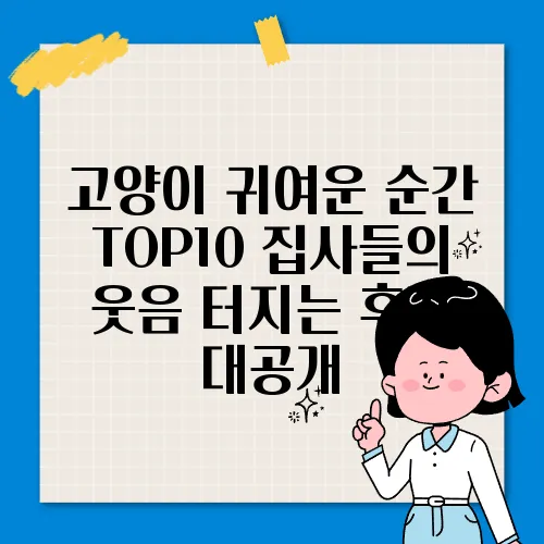 고양이 귀여운 순간 TOP10 집사들의 웃음 터지는 후기 대공개