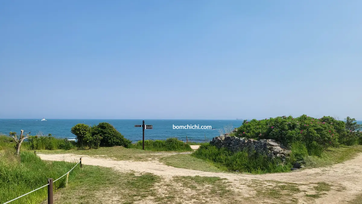 슬도 등대 초화 단지에서 바라본 바다 전경