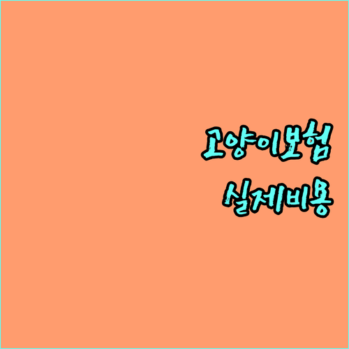 고양이 보험 가입 연령과 보험료 실제..