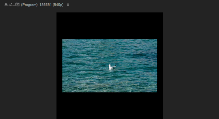 프리미어프로-영상에-자동-리프레임-효과-적용-전-결과