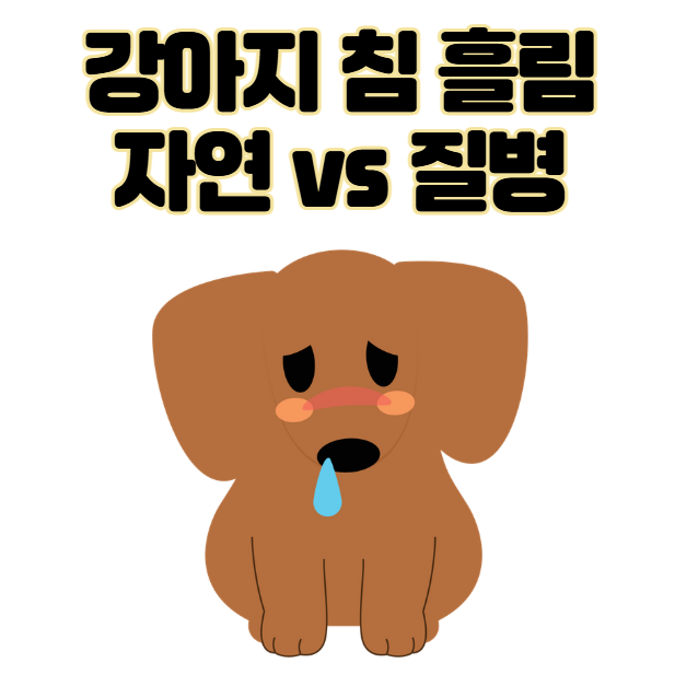강아지 침 많이 흘리는 원인 3가지 자연스러운 vs 질병 신호 차이