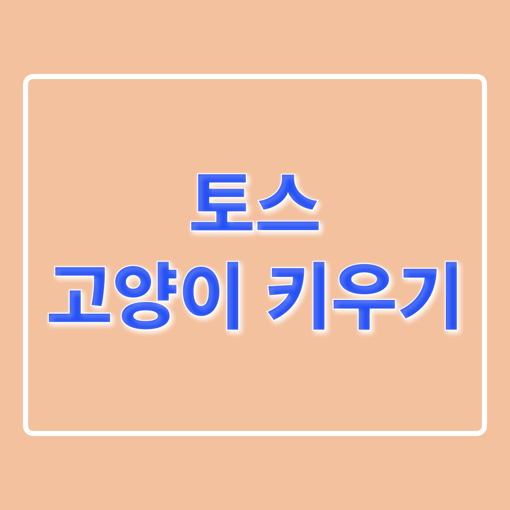 토스_고양이키우기