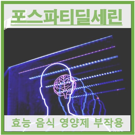 포스파티딜세린 썸네일