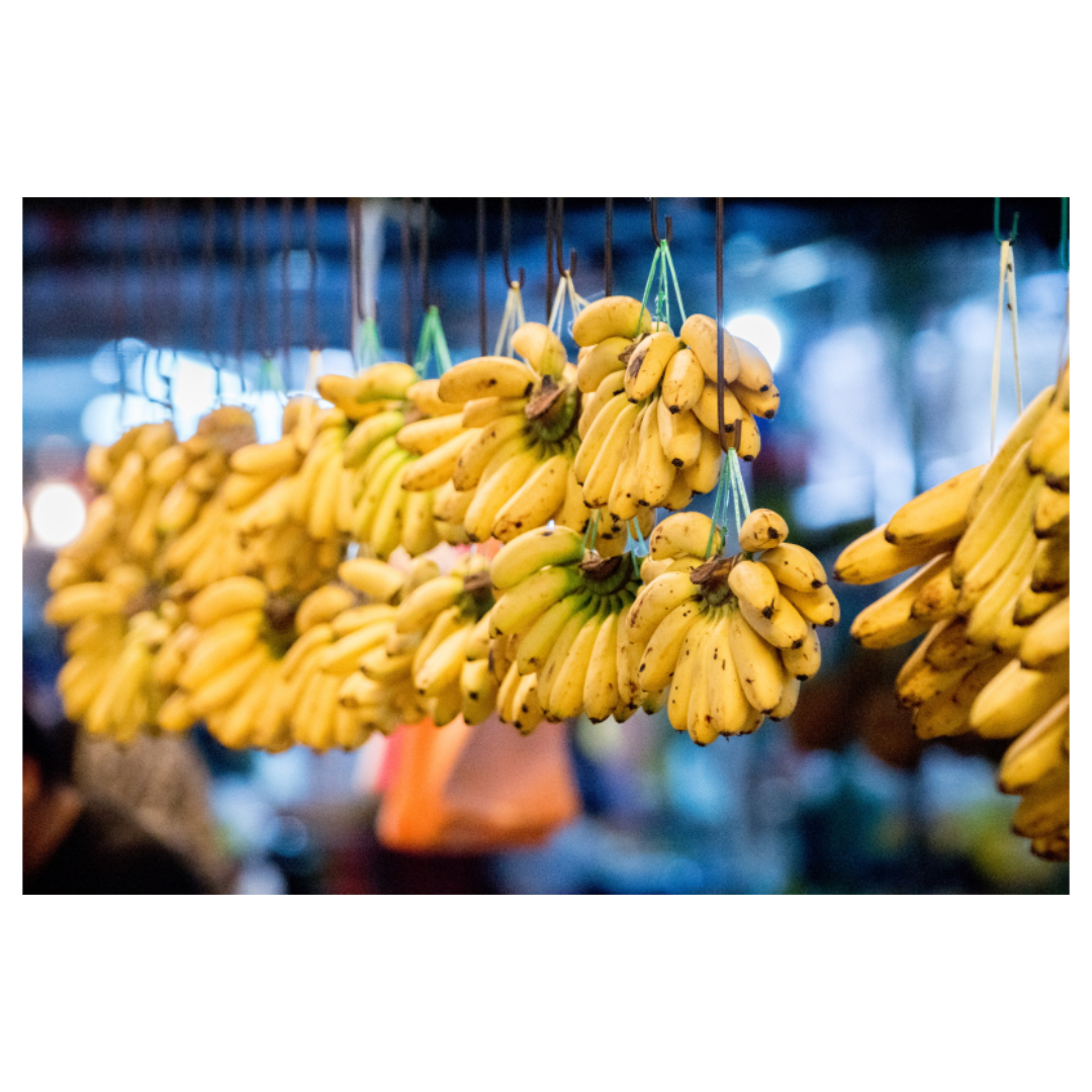 멜라토닌과 관련된 사진입니다.