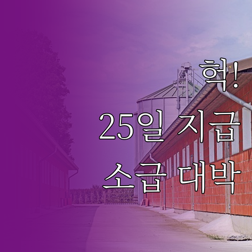 태백시 청년월세 지원금 매월 25일 ..